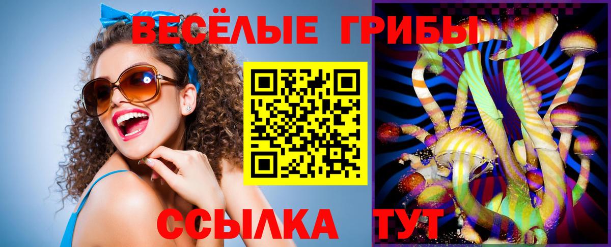 Псилоцибиновые грибы MAGIC MUSHROOMS Клин