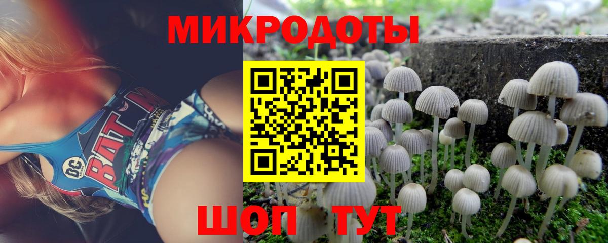 Псилоцибиновые грибы Psilocybe  Вход с VPN  Клин 